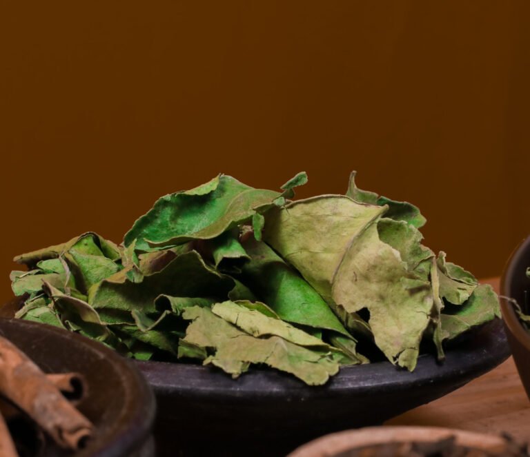 Ciri Daun Jeruk Segar untuk Bumbu Masak
