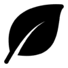 Indonesian spice exporter
