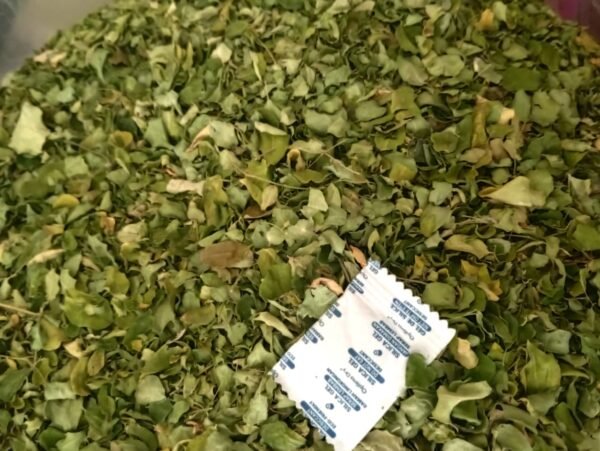 moringa leaves DRIED MORINGA LEAVES