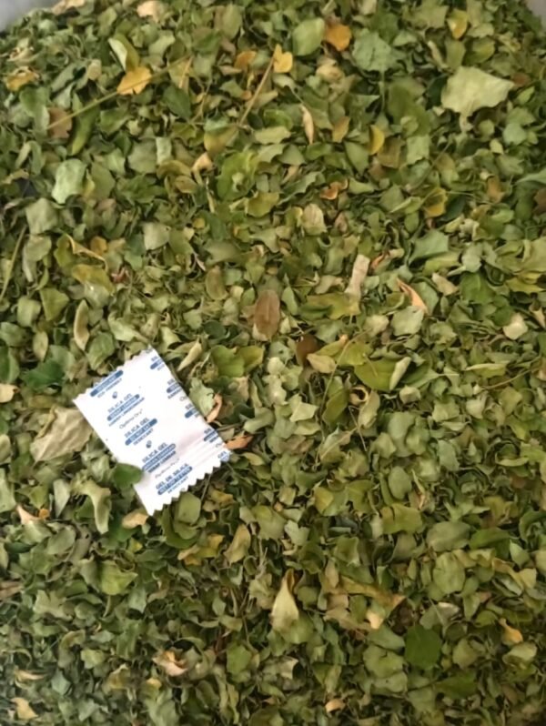 daun kelor 2 DRIED MORINGA LEAVES