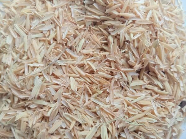 RICE HUSK / SEKAM PADI